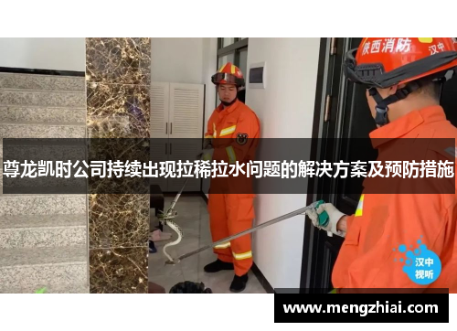尊龙凯时公司持续出现拉稀拉水问题的解决方案及预防措施