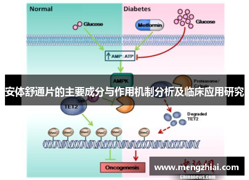 安体舒通片的主要成分与作用机制分析及临床应用研究